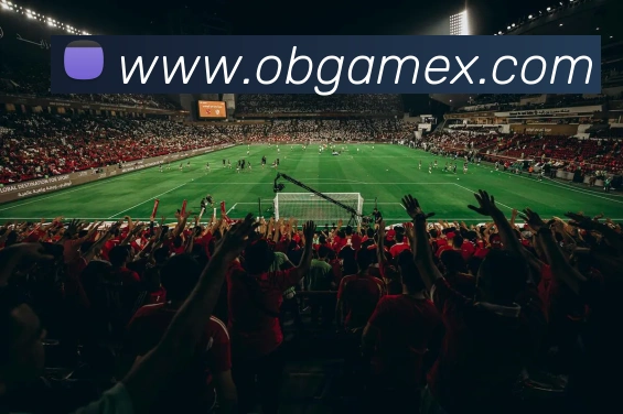 欧博官网平台生态图